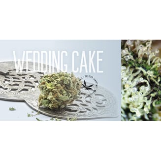 Wedding Cake by Grasshopper Farms