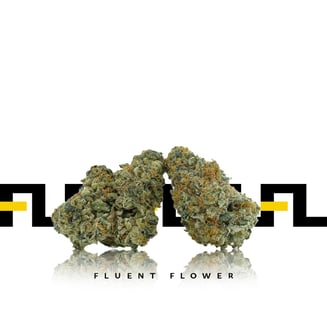 Vanilla Creme Pie by FLUENT Flower