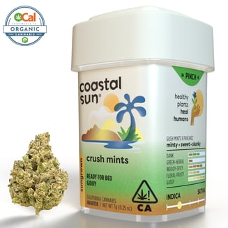 Coastal Sun — Crush Mints