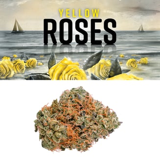 Yellow Roses by Lemonnade