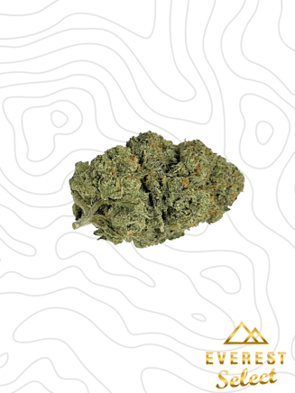 Apple Fritter by Everest