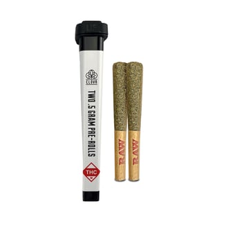 Key Lime Gelato [.5g] by Clovr