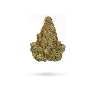 Northern Emeralds — Durban Poison