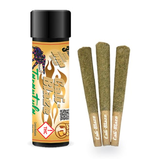 Gentleman Rancher [1g] by Cali-Blaze