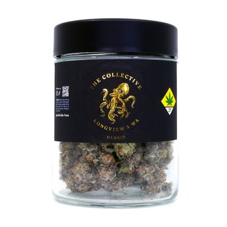 Jack Herer by The Collective