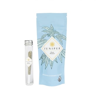 Vanilla Biscotti [1g] by Juniper