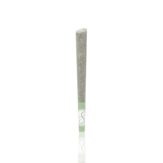 Apple Fritter (1g) by Sublime Brands