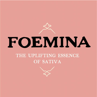 Allen Wrench [.5g] by Foemina