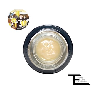 Banana Taffy by Team Elite Genetics