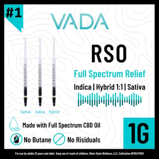 Vada 1:1 CBD:THC RSO 1g by Vada