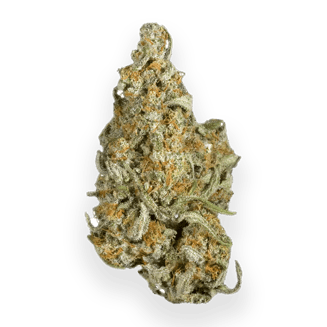 Apollo 11 (A11) (Small Bud) by Vireo