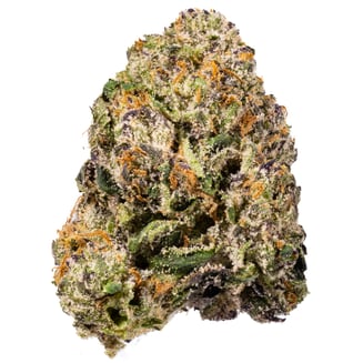 West Coast Cure: Dark Zero