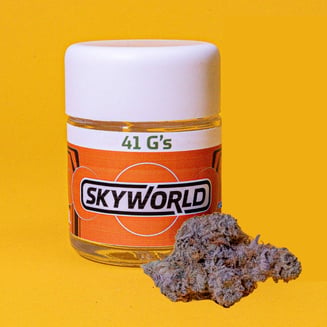 41 G'S by Skyworld