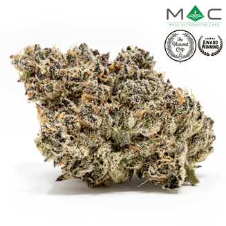 Z Animal x Bully Kush by Mass Alternative Care (MAC)