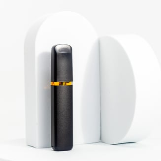 Evermore Cannabis Company — Gpog