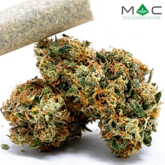 Queen Mandarin [.75g] by Mass Alternative Care (MAC)