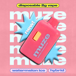 Watermelon Ice [2000mg] by muze - MA