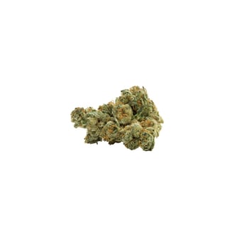 Vanilla Gelato by Holy Mountain