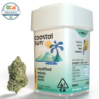 Coastal Sun — Modified Mints