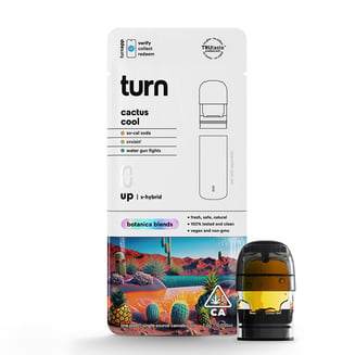turn — Cactus Cool