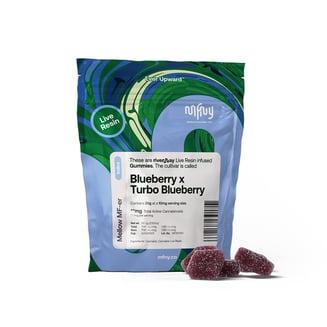 Blueberry x Turbo Blueberry [10pk] (100mg) by MFNY