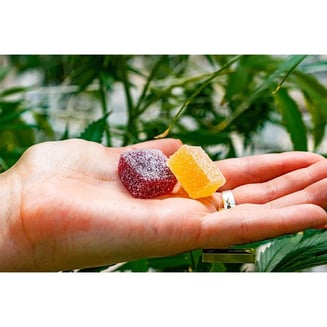 Watermelon Yuzu (200mg) by Information Entropy
