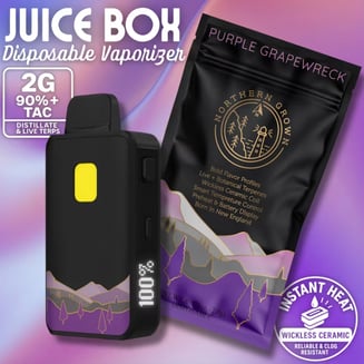 Purple Grapewreck [2000mg]