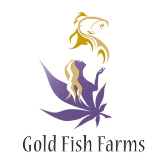 Apple Fritter by Gold Fish Farms