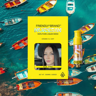 Friendly Brand: Blue Zushi