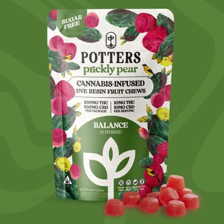Potters: Prickly Pear