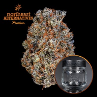 Black Ice by Northeast Alternatives