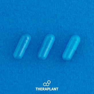 Indoti T50 24397 by Theraplant