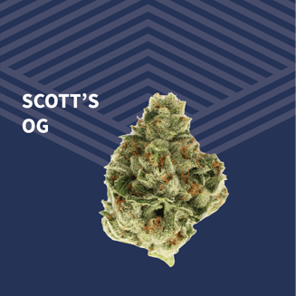 Value Scott's OG by Pure Dakota