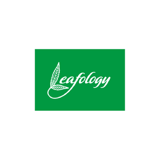 1:1 Salve (100mg CBD/100mg THC) by Leafology