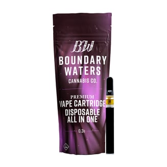 Galactic Grape [300mg] by Boundary Waters