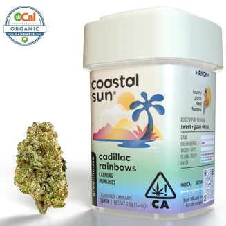Coastal Sun — Cadillac Rainbows