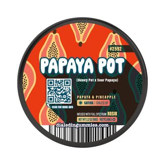 100mg - Papaya Pot #2592 - Rosin Gummies (10pk) by Dialed In Gummies