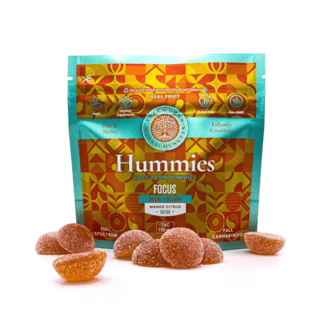Focus Hummies | Sativa (100mg) [10pk] by Treeworks