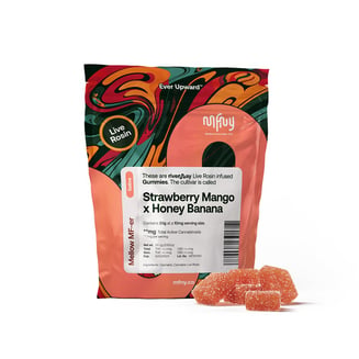 Strawberry Mango x Honey Banana [10pk] (100mg) by MFNY