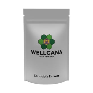 Black Jack by Wellcana
