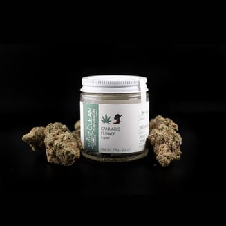 Banana Jamma by Clean Cannabis