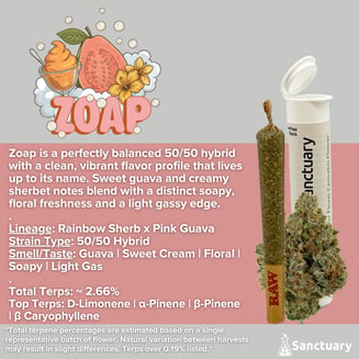 Pre-Roll - Zoap [1g] by Sanctuary
