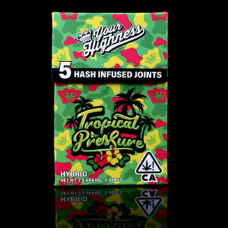 Your Highness — Tropical Pressure