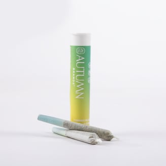 Autumn Brands: Italian Lemonade
