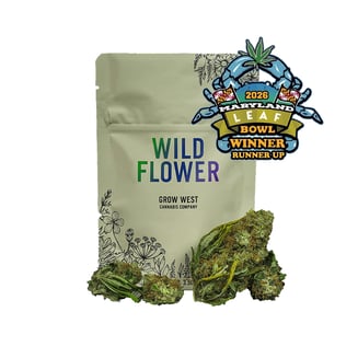 Banana Puddintain Pre-Ground Flower 10g - hybrid flower by SunMed