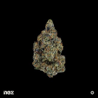 Daily Grapes by NEZ