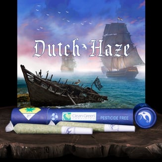 Dutch Haze [.6g] by Falcanna