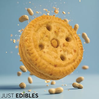 Graham Cracker Peanut - (10pk | 10mg Each | 100mg THC Total) by Just Edibles