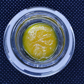 Polar Pop by Bold Cultivation