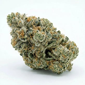 Dawg Walk OG by Flower Foundry